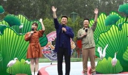 东莞媒体爆料视频最新一期,揭秘事件背后惊人真相