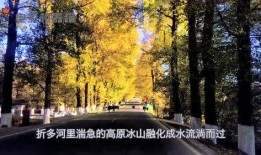 娱乐吃瓜君9,揭秘娱乐圈最新热点事件