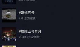 热点爆料动物短视频,短视频捕捉动物萌态瞬间